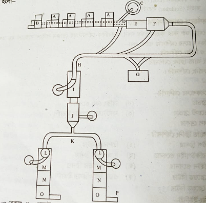 আদর্শরূপে ব্লোরুম লাইন সাজানোর প্রক্রিয়া