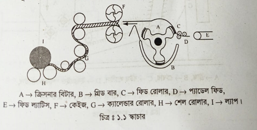 রো-রুমে ব্যবহৃত বিভিন্ন ফিড অ্যাপারেটাসের চিত্রাঙ্কন ও পর্যবেক্ষণ
