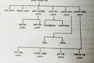 তৃতীয় পর্যায়ের গতির শ্রেণিবিভাগ