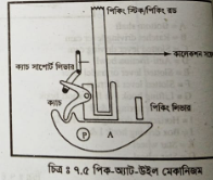 (গ) পিক-অ্যাট-উইল মোশন